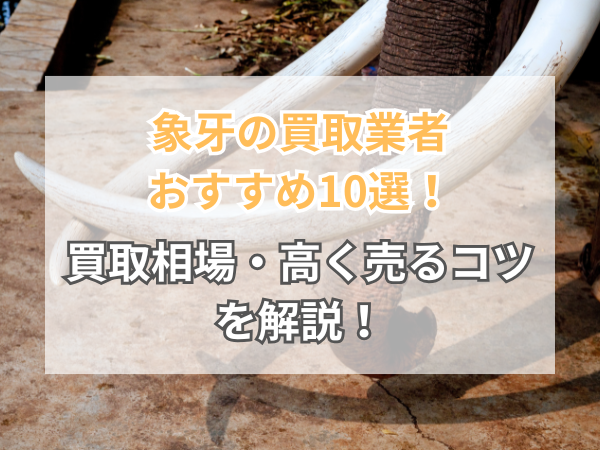 象牙の買取業者おすすめ10選 買取相場や高く売るためのポイントを徹底解説 - 社会貢献評価型 買取サービス比較サイト